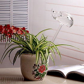 Plant Waterer Beetle Self Watering Bulb Hand Blown Clear Glass Plant Watering Globe for Indoor Potted Plants