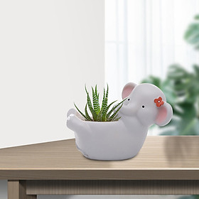 Succulent Pots Animal Ceramic Flower Pot Plants Planter Indoor Desktop Home