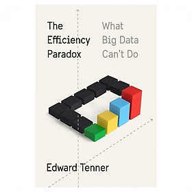 The Efficiency Paradox