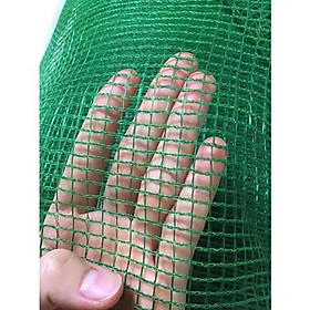 Mua Lưới cước xanh rào gà khổ cao 1 mét - lưới nhựa