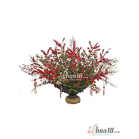Bình hoa tươi - Hương Xuân 4311