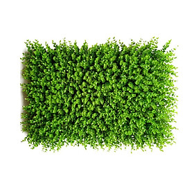 Thảm cỏ tai chuột 247, tai chuột 308 - 40 x 60cm - Tấm cỏ nhựa, vỉ cỏ nhựa làm tường cây giả