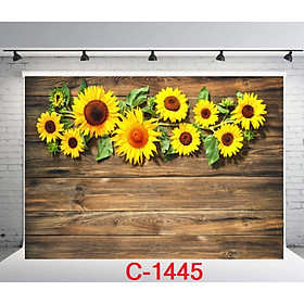 Mua TẤM PHÔNG VẢI 3D CHỤP ẢNH kích thước 125x80cm Mẫu: C-1445