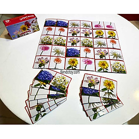 Domino giấy chủ đề các loài hoa, Board game trí tuệ, giáo cụ mầm non