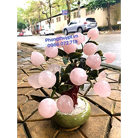 Mua Cây Đào Trường Thọ Đá Thạch Anh Hồng Thiên nhiên