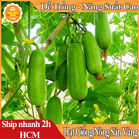 Mua Hạt giống Bí Đao Chanh ( Gói 15 Hạt ) - Nông Sản Vàng