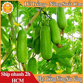 Hạt giống Bí Đao Chanh ( Gói 15 Hạt ) - Nông Sản Vàng