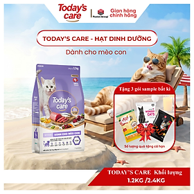 Todays Care 1.2kg - Thức ăn chăm sóc sức khoẻ chuẩn vàng dành cho mèo