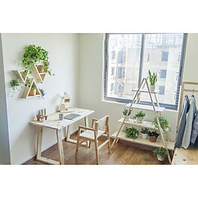 Mua Kệ Để Cây Cảnh Homefil/ Kệ 2 Thang Tam Giác/ Kệ Gỗ Thông Để Cây