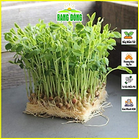 Mua Hạt giống Rau Mầm Đậu Hà Lan Dễ Trồng  Thơm  Ngọt (gói 50 gram) - Hạt Giống Rạng Đông