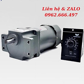 Mua Motor giảm tốc Wanshsin mini 90W