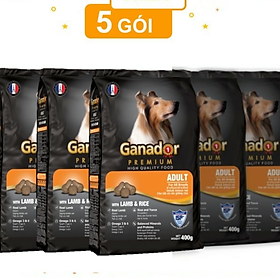 Combo 5 gói thức ăn cho chó trưởng thành Ganador vị thịt cừu & gạo Lamb & Rice 400gram