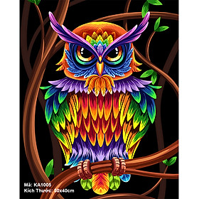 Tranh Sơn Dầu Số Hóa Nhiều Chủ Đề Và Màu Sắc Đẹp Mắt - DIY Paint By Numbers