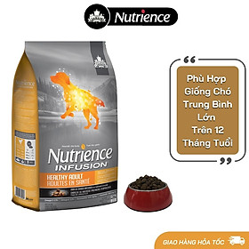 Nutrience Original Thức Ăn Cho Chó Có Kích Thước Trung Bình, Lớn - Thịt Cừu