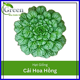 Mua Hạt Giống Rau Cải Hoa Hồng
