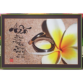 Mua Tranh thư pháp chữ NHẫn - IN126