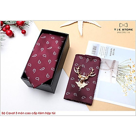 Ca Vat bộ 3 món kèm hộp túi xách cao cấp, quà tặng chú rể, Cavat họa tiết đỏ mận