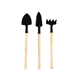 Dụng Cụ Làm Vườn Kèm Tay Cầm Gỗ Đầu Sắt (3 Cái/Bộ)