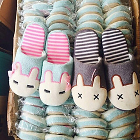 Mua Combo 4 đôi dép đi trong nhà