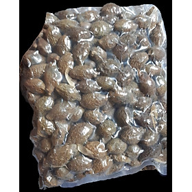 Đặc Sản Kon Tum - Hột đười ươi đều trái nở nhiều - OCOP 3 Sao