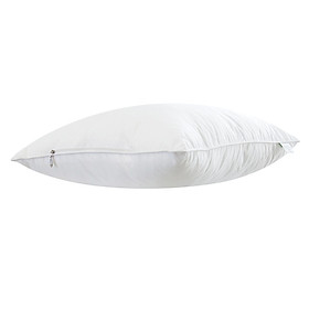 Mua Ruột Gối Nằm Ball Cao Cấp Edena Edrg (45 x 65 cm)
