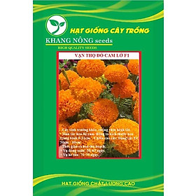 Hạt giống hoa Vạn Thọ đỏ cam Lở F1 KNS3683 - Gói 30 hạt