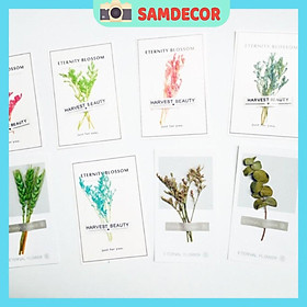 Thiệp hoa khô làm phụ kiện chụp ảnh sản phẩm