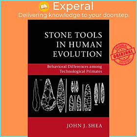 Sách - Stone Tools in Human Evolution - Behavioral Differences among Technologic by John J. Shea (UK edition, paperback)