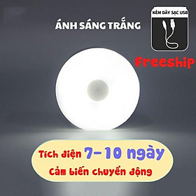 Đèn LED cảm ứng trong đêm có người đi qua tự động sáng, sử dụng pin sạc cao cấp, tặng cáp sạc