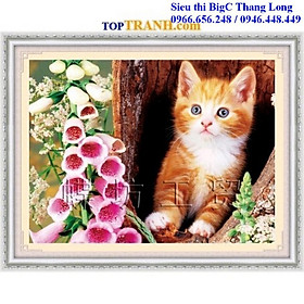 Tranh thêu chữ thập con mèo bên hoa lan A846 chưa thêu