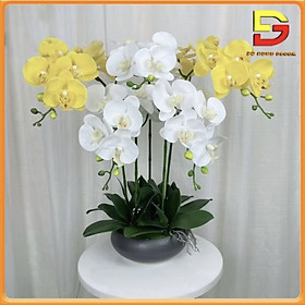 Mua Hoa Giả Chậu Lan Hồ Điệp 5 Nhánh Decor Trang Trí Phòng Khách Bàn Ăn Kệ Tủ DG-226