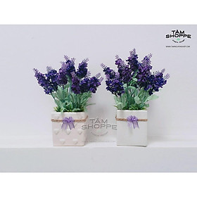 Mua Chậu hoa Lavender gốm vuông No.31