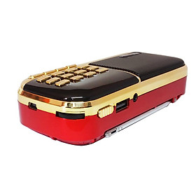 Loa Nghe Nhạc MP3 Kiêm Đài Radio B871 (Đa chức năng)