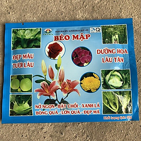 Cây hoa hồng màu xanh cao 30-35cm,cây xum xuê ,cực nhiều bông