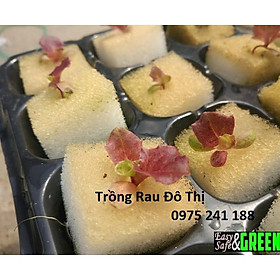 480 viên mút xốp ươm hạt kích thước 25x25x25mm hàng nhật chất lượng cao
