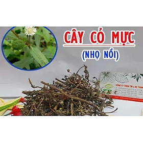 Gói 1kg cây nhọ nồi khô
