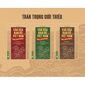 Văn Hóa Nam Bộ Việt Nam Trước Kỷ Nguyên Vươn Mình, 3 Quyển/Bộ