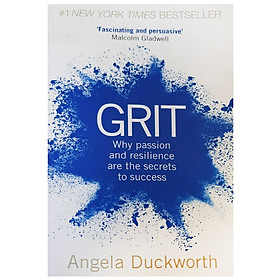 Grit : Why Passion And Resilience Are The Secrets To Success