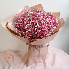 Mua Bó hoa baby phun hồng - Mây Mộng Mơ