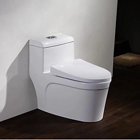 Mua BỒN CẦU LIỀN KHỐI GROVES R38