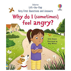 Sách ngoại văn: Why Do I (Sometimes) Feel Angry?