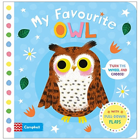 My Favourite Owl