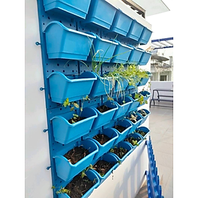 1m2 Vườn tường HOLO - Khung chậu nhựa trồng cây trồng rau trồng hoa trên tường - Nhiều màu (10 khung + 30 chậu)