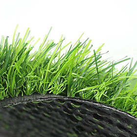 Thảm cỏ nhân tạo nhập khẩu chính hãng, chất lượng cao - Đầy đủ chứng chỉ CO & CQ, an toàn cho người dùng - Kích thước theo yêu cầu, phù hợp trang trí cảnh quan, sân chơi, nội & ngoại thất