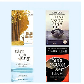 Combo 4 Quyển Ajahn Chah: Một Cội cây rừng - Suôi Nguồn Tâm Linh - Tâm Tĩnh Lặng - Trong vòng Sinh Diệt