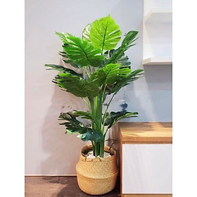 Mua Cây giả – Cây trầu bà lá xẻ nam mỹ monstera giả – Chậu gồm 3 nhánh 18 lá – Cao 130 cm – Cây lá rùa  lá rách – Cây nội thất giả  hoa lụa trang trí decor