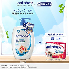 Nước Rửa Tay Bảo Vệ Da Kháng Khuẩn Antabax Fresh Sảng Khoái 500ml