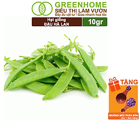 Mua Hạt Giống Đậu Hà Lan Greenhome  Gói 10gr  Dễ Trồng  Nảy Mầm Cao  Thu Hoạch Nhanh  Năng Suất Cao T18
