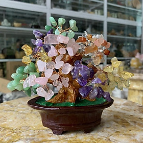 Mua Cây Kim Tiền  Cây Tài Lộc  Cây Phát Tài Đá Thạch Anh - cao 15cm