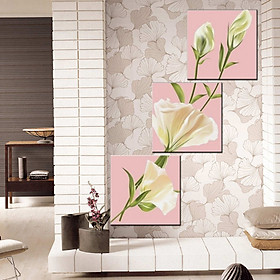 Tranh Canvas treo tường nghệ thuật | Tranh bộ nghệ thuật 3 bức | HLB_151
